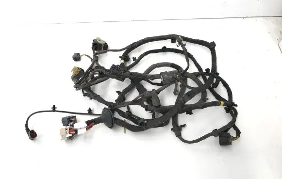 Other wiring loom
