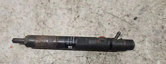 Renault Kangoo I Fuel injector EJBR05102D 3117CB19F84