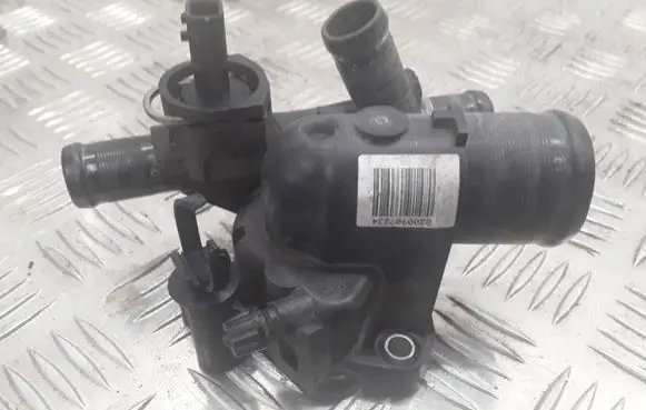 Thermostat/thermostat housing