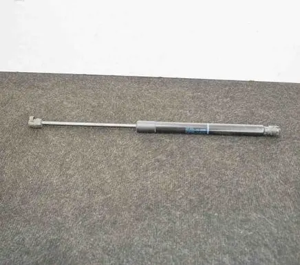 Tailgate/trunk strut/damper
