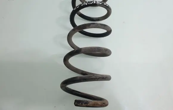 Rear coil spring