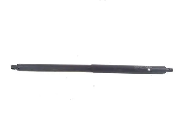 Hyundai Ioniq 5 Tailgate strut 81841GI100