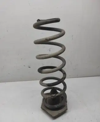 Rear coil spring