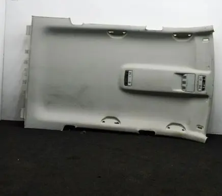 Skoda Octavia Mk2 (1Z) Headlining 