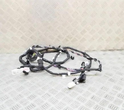 Other wiring loom