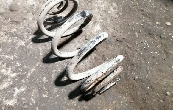 Renault Trafic II (X83) Rear coil spring