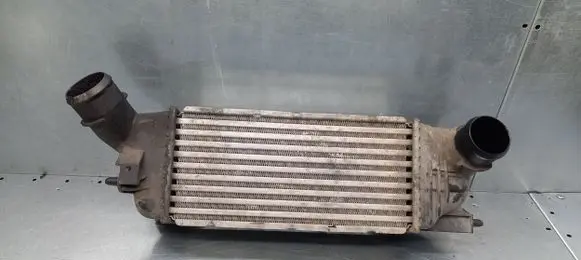 Peugeot 407 Intercooler radiator