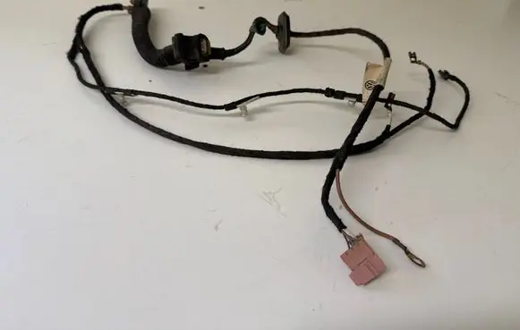Rear door wiring loom