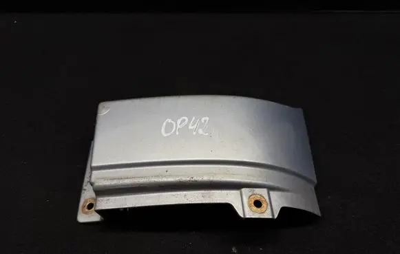 Rear/tail light trim molding