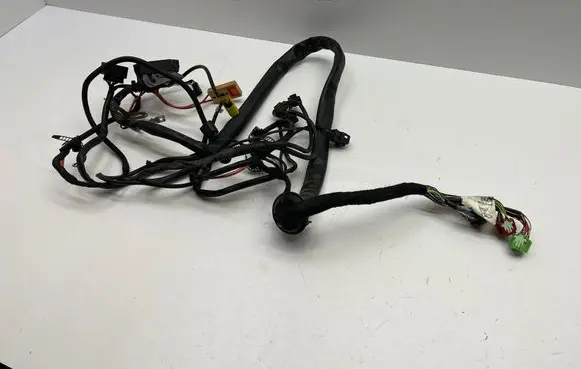 Other wiring loom