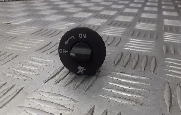 Renault Modus Other switches/knobs/shifts 8200169585