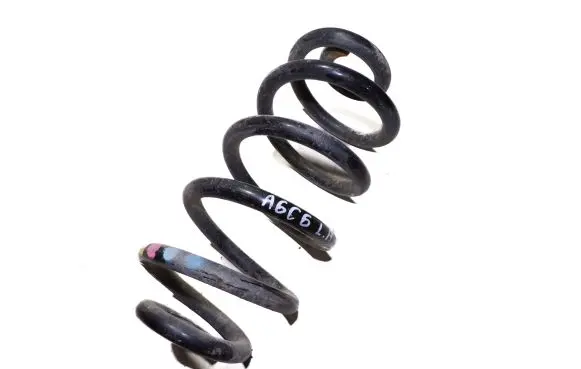 Audi A6 S6 C6 4F Rear coil spring