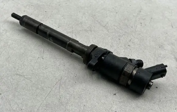 Citroen C4 I Fuel injector 0445110188