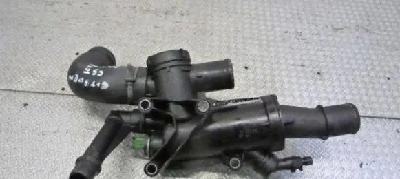 Thermostat/thermostat housing