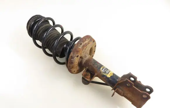Fiat Punto (199) Front shock absorber with coil spring