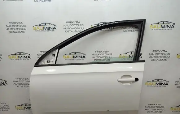 Skoda Rapid (NH) Front door