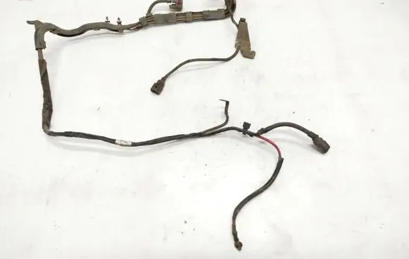 Volkswagen PASSAT B6 Wiring harness 3C1971111J