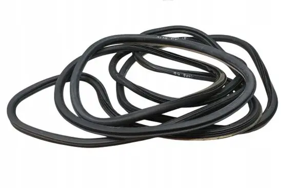 Renault Talisman Rubber seal front door (on door) 