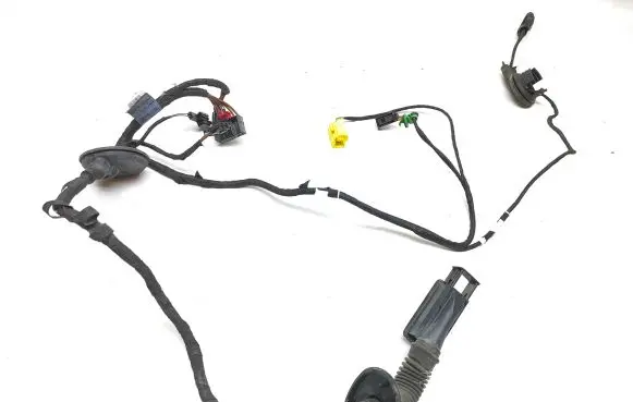 Audi A5 Sportback 8TA Front door wiring loom 8T8971030AR 24092010 TAB010766SP