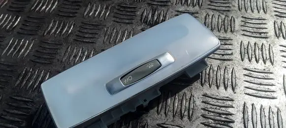Renault Laguna III Rear seat light 264300005R
