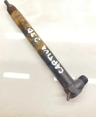 Chevrolet Captiva Fuel injector 25195089 28489548