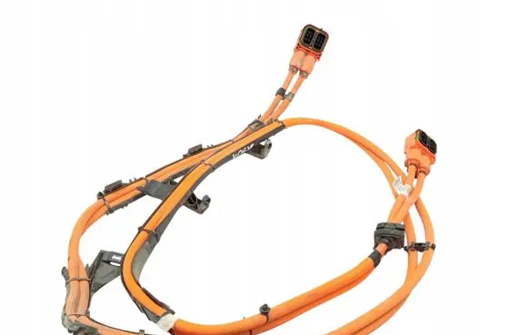 BMW 3 G20 G21 Wiring harness