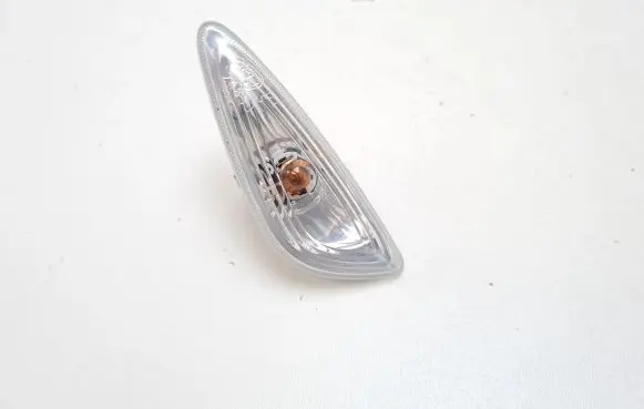 Front fender indicator light