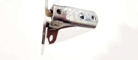 Rear door lower hinge