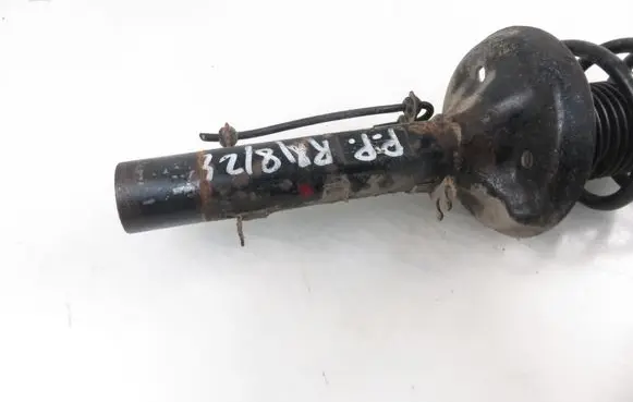 Seat Toledo II (1M) Front shock absorber with coil spring 