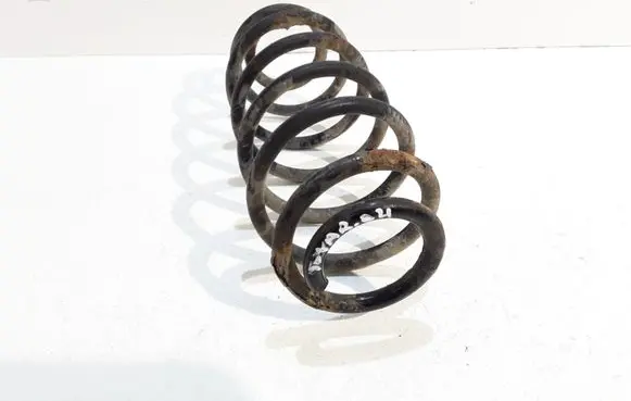Rear coil spring