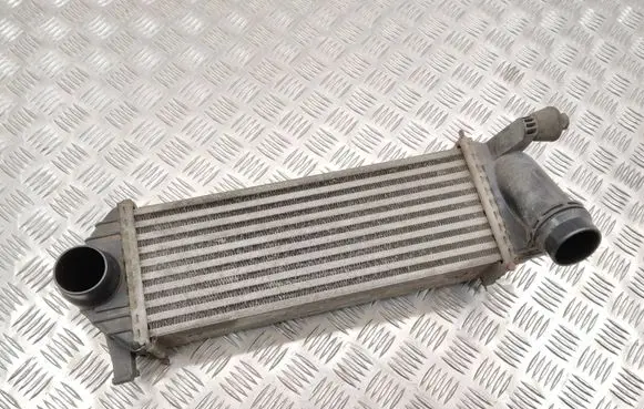 Mercedes-Benz Citan W415 Intercooler radiator 144963234R Y5665002 0032825