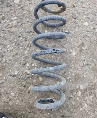 Volkswagen PASSAT B6 Rear coil spring