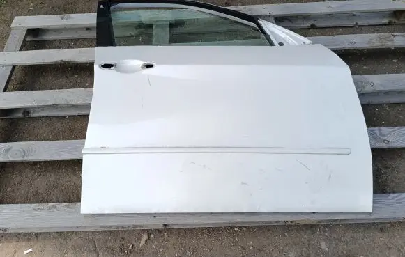 BMW X5 E70 Front door