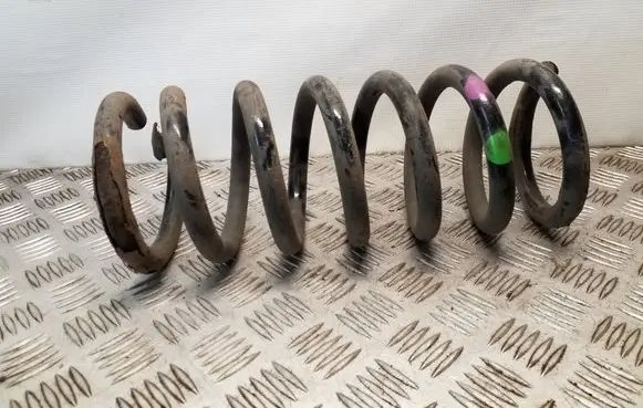 Rear coil spring