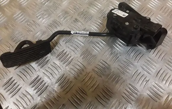 Opel Zafira B Accelerator throttle pedal GM9202343 00811500
