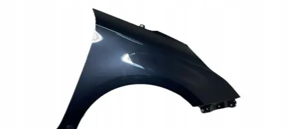 KIA Carens III Fender