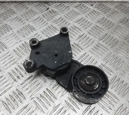 Ford Focus Generator/alternator belt tensioner 