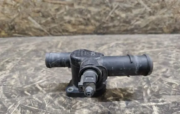 Thermostat/thermostat housing
