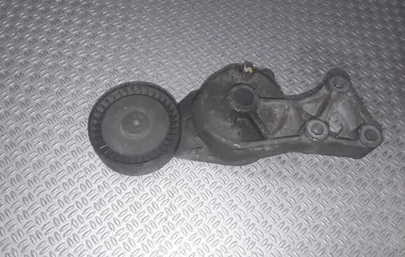 Seat Alhambra (Mk1) Generator/alternator belt tensioner 038903315F