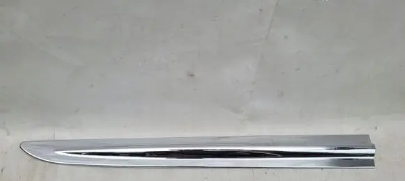 Nissan Leaf II (ZE1) Rear door trim (molding)