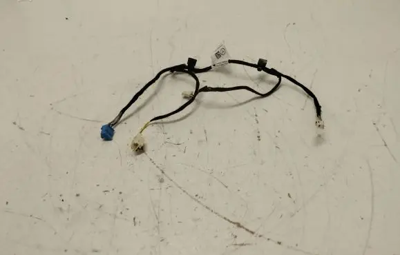 Rear door wiring loom