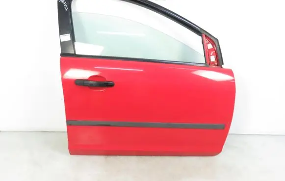Ford Focus Front door 