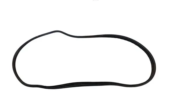 Volvo S40 Front door rubber seal 