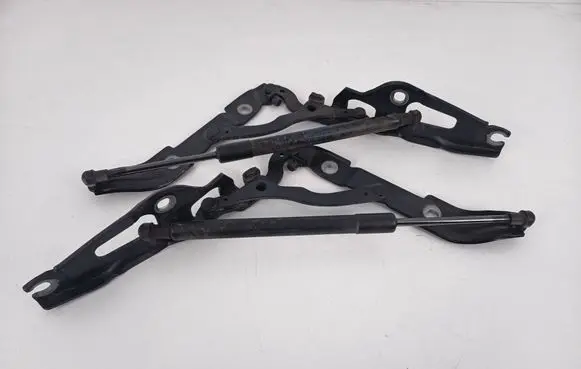 BMW 1 E82 E88 Tailgate/trunk/boot hinge 7166751 7166752