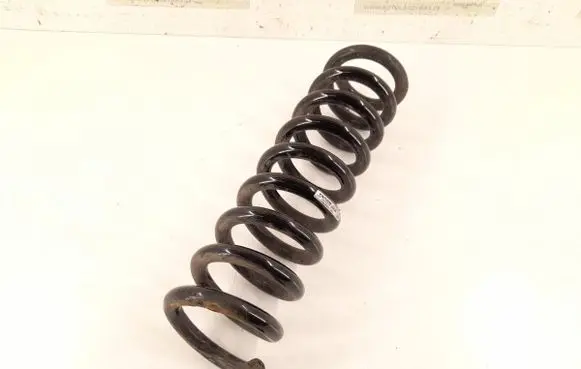 Rear coil spring