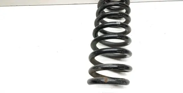Rear coil spring
