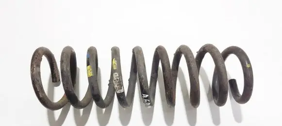 Rear coil spring