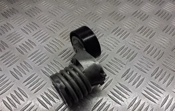 Volkswagen Polo IV 9N3 Alternator belt tensioner pulley 