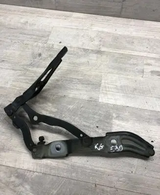 BMW 3 E90 E91 Tailgate/trunk/boot hinge S0S9 02290904