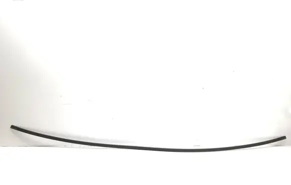 BMW X7 G07 Windshield trim 7412641